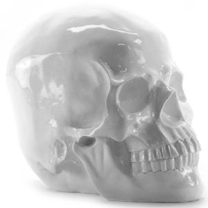 Skull schedel doodskop decoratie beeld