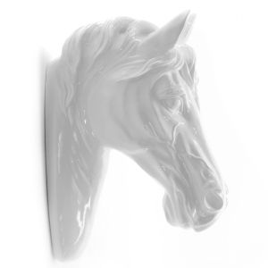 Paarden hoofd - wit
