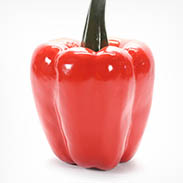 Groenten en fruit